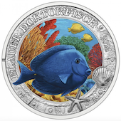 foto PESCE CHIRURGO BLU